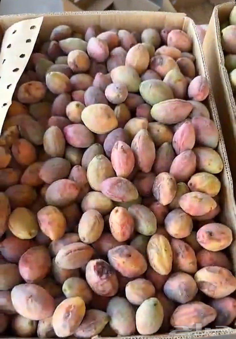 Good quality almonds with delivery available64522865547522110