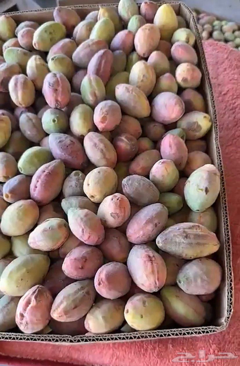 Good quality almonds with delivery available64522865547522111