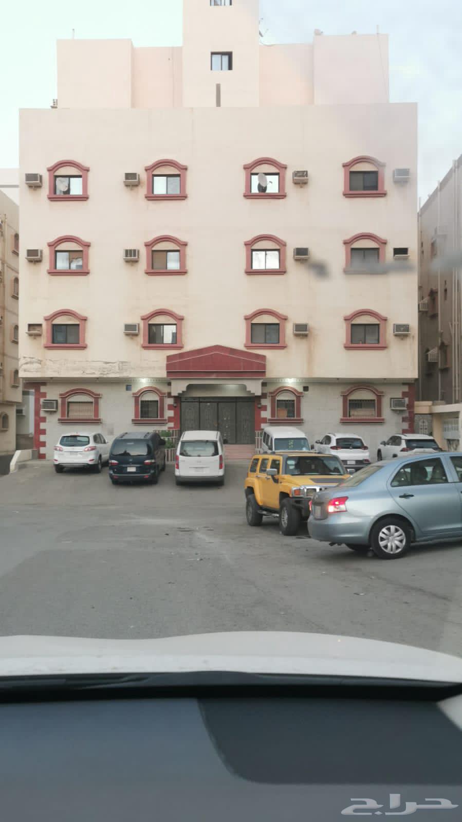 شقة للإيجار