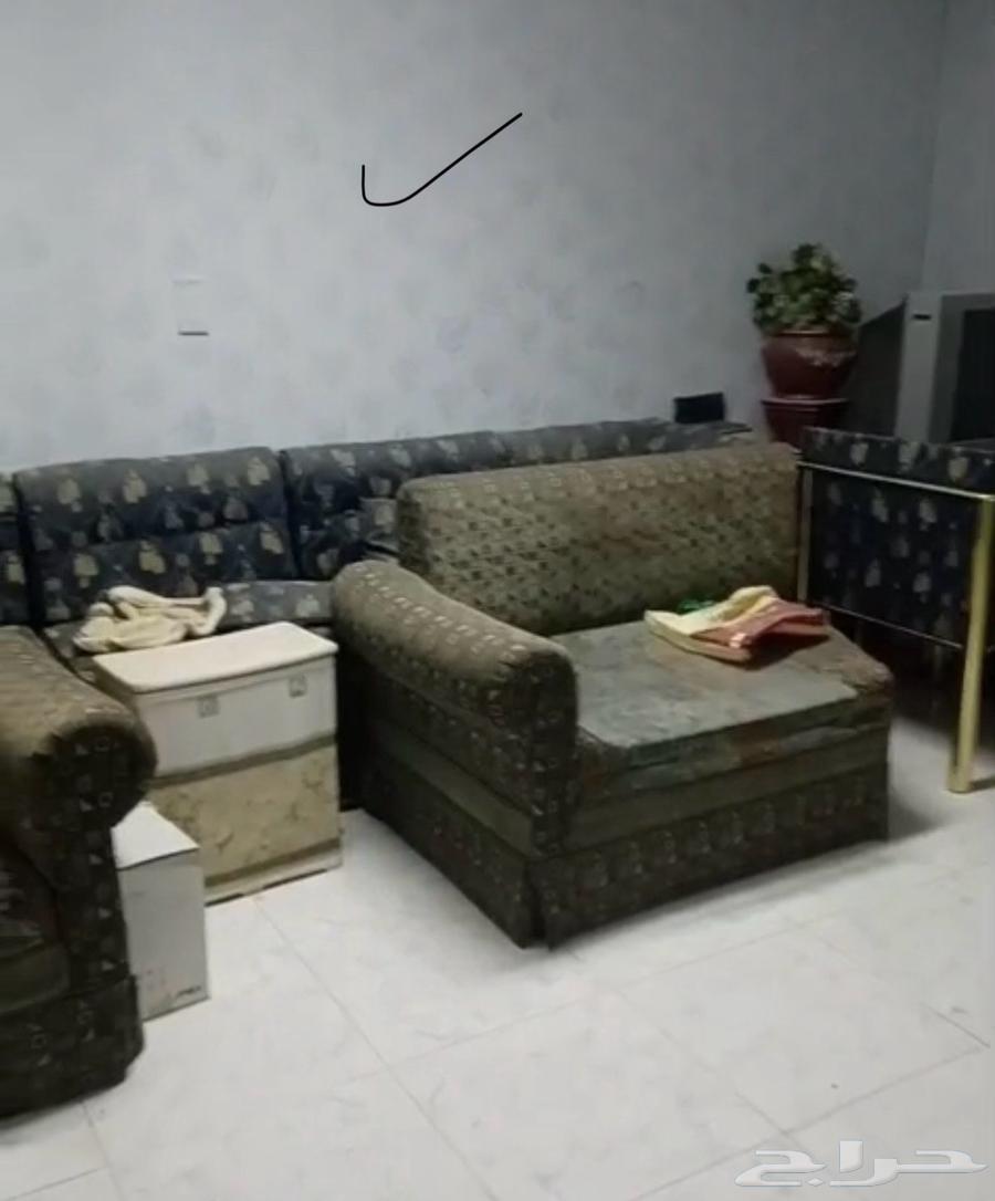 كنب قديم لمن يريده مجانا64525926065665111