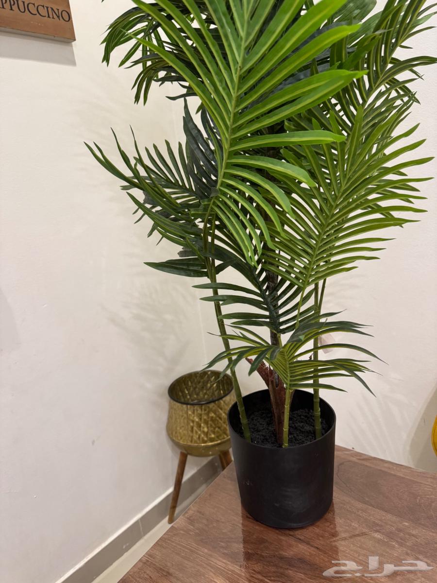 豪华纸制圣诞树装饰64523654710531113