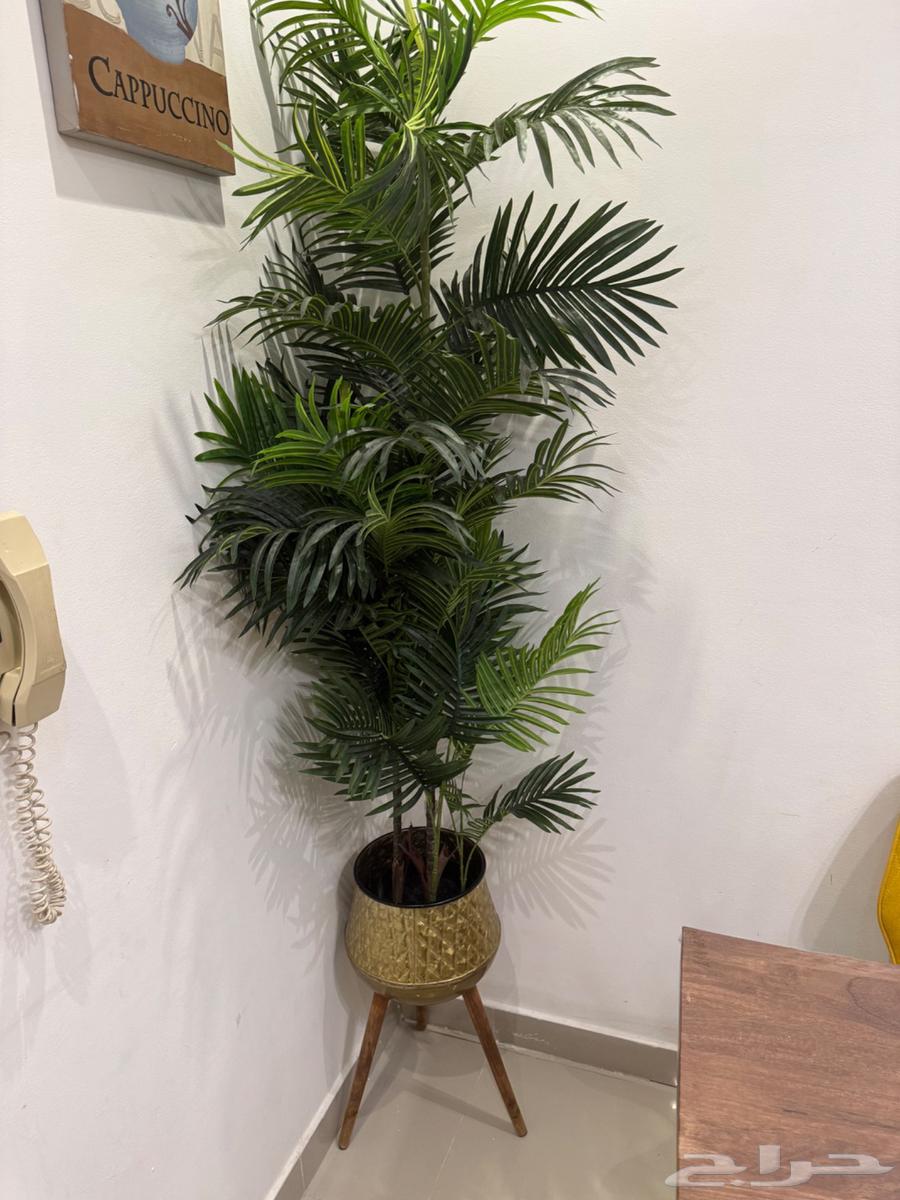 豪华纸制圣诞树装饰64523654710531110