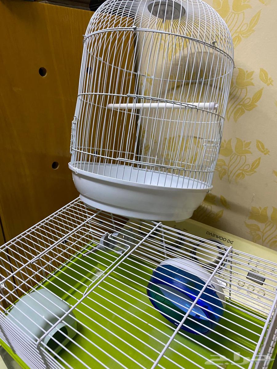 اقفاص طيور وحيوانات64527849126018114