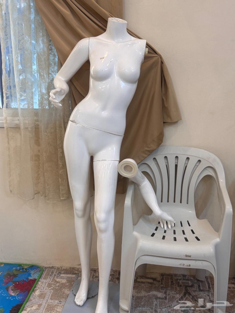 مانكيان للبيع64522317134850110