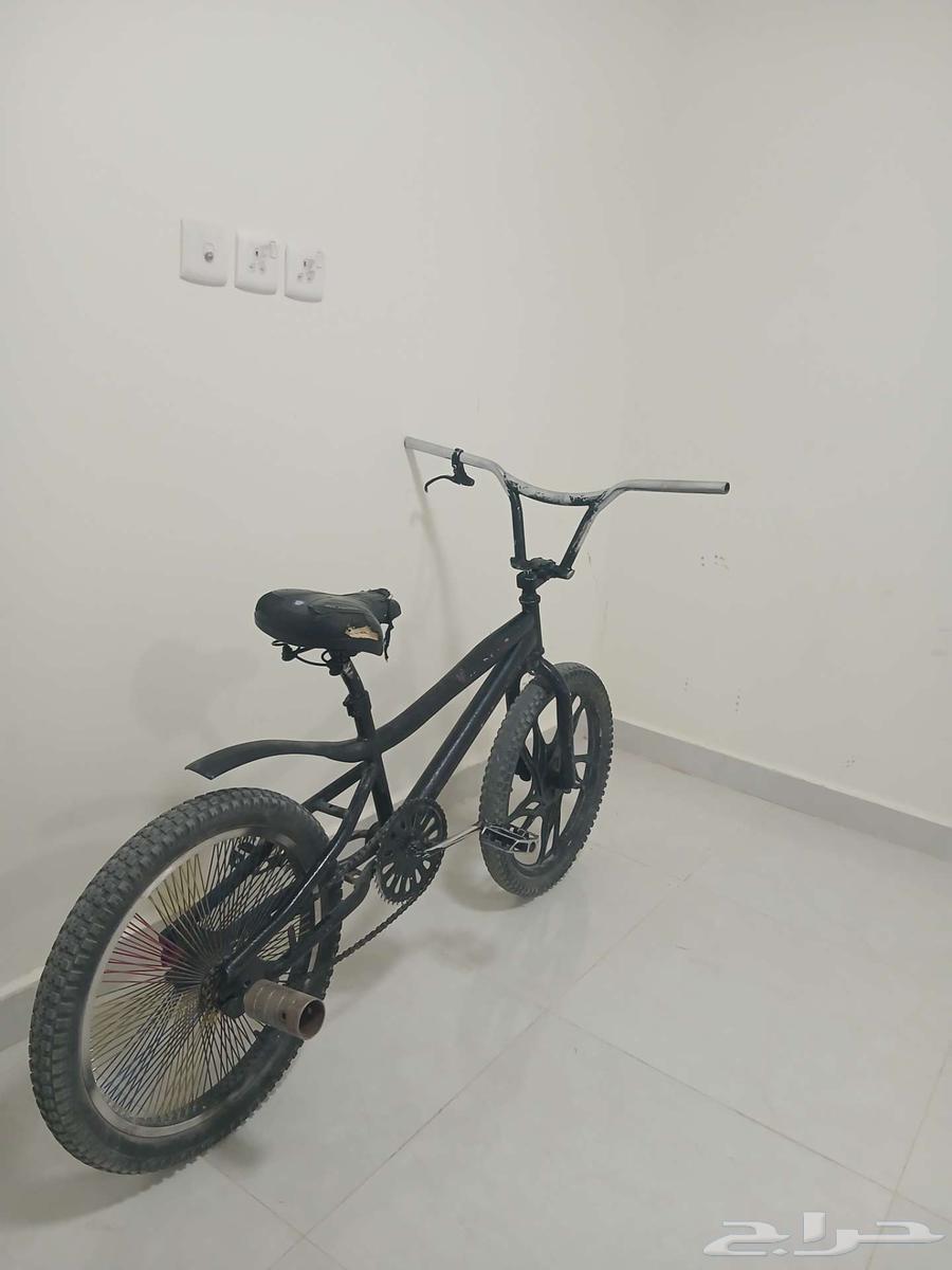 سيكل للبيع كوبرا64524877842561113