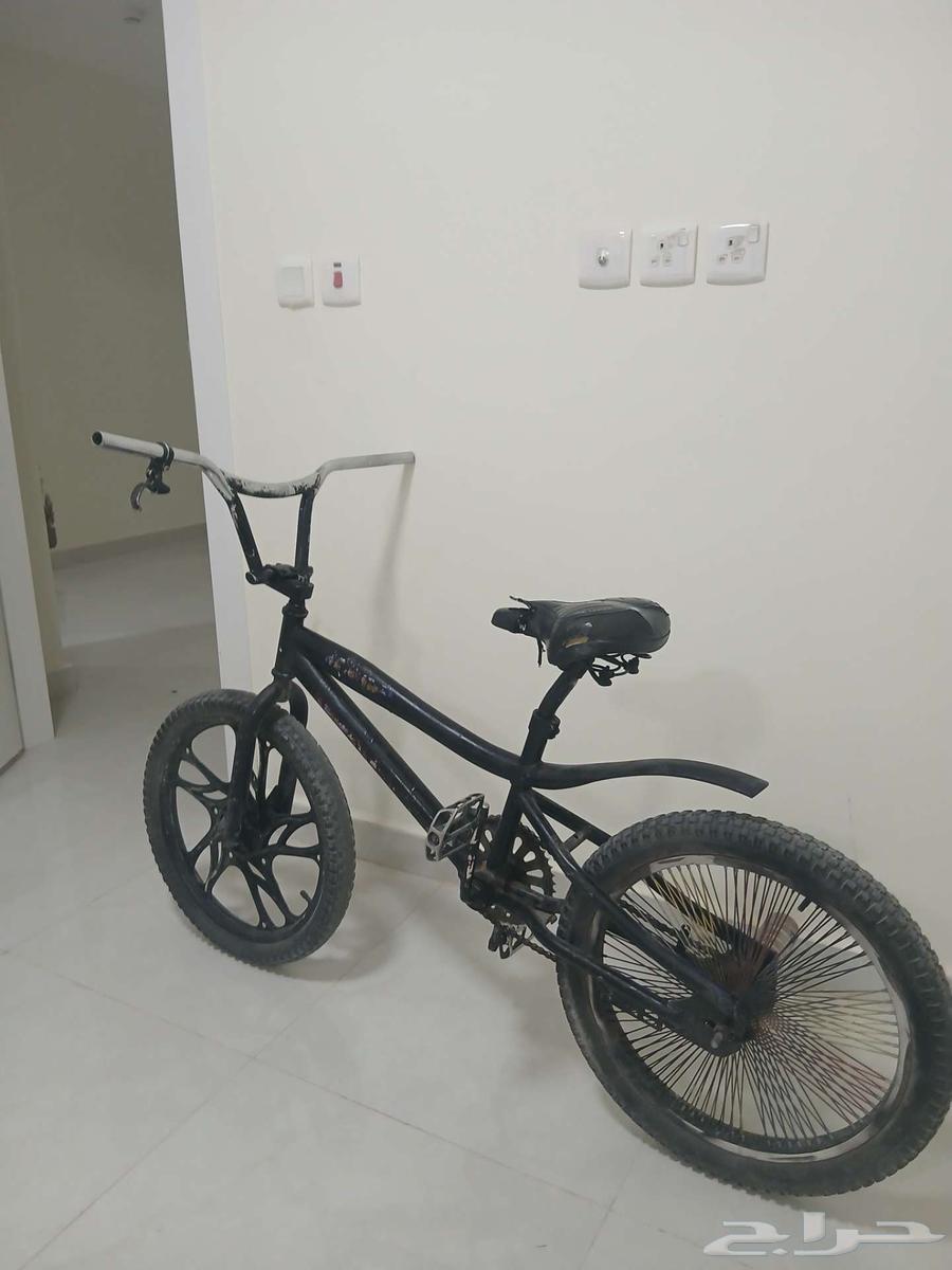 سيكل للبيع كوبرا64524877842561111