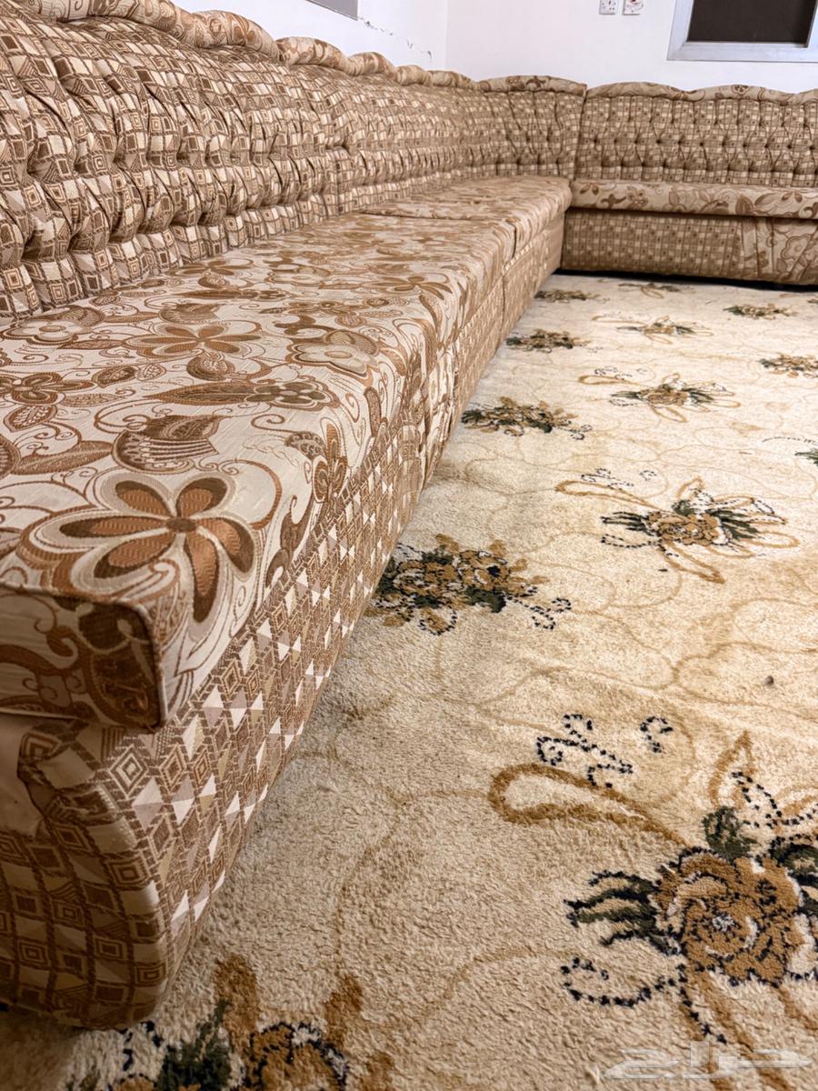 Sofa with brushes64525967558273112