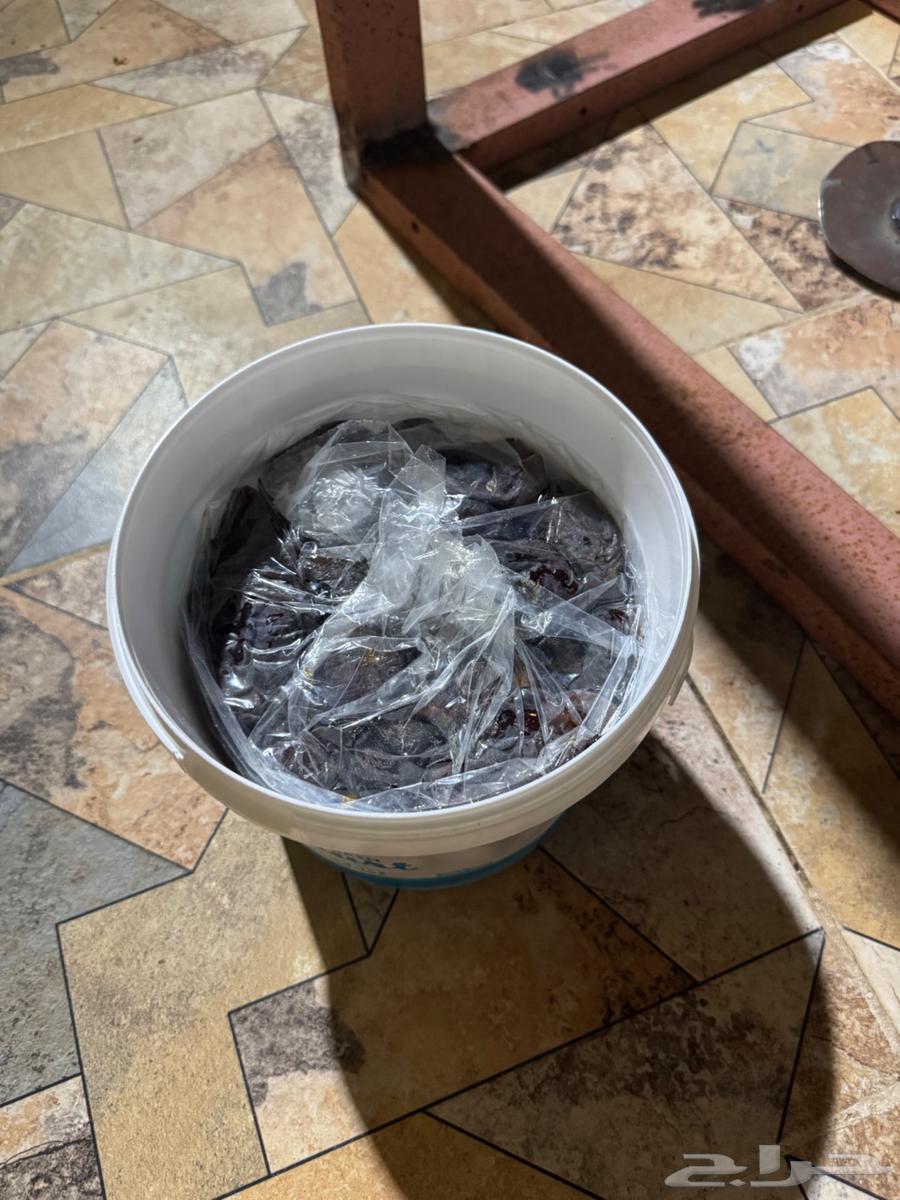 Manual date press64526161927169110