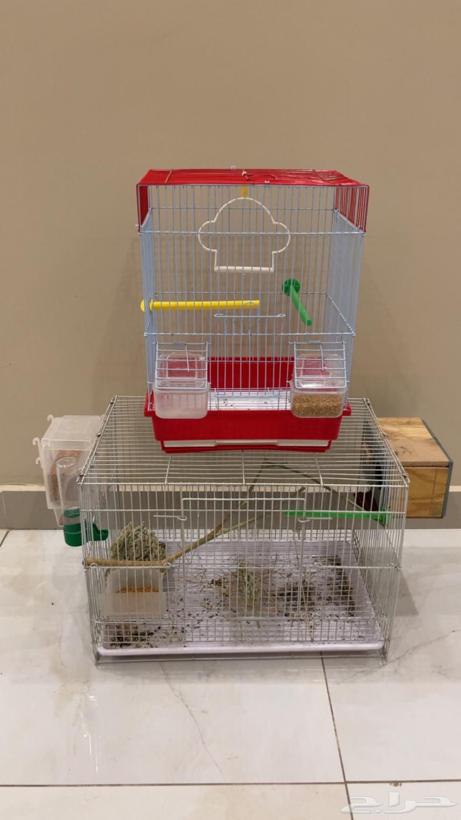 اقفاص مع جميع الملحقات المقاسات في الصوره شبه جديده64526996873603110