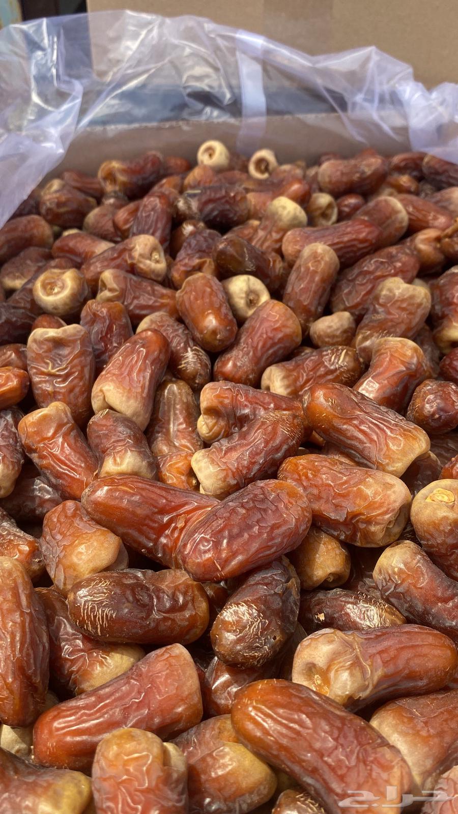 برني العيص الفاخر64522187656706112