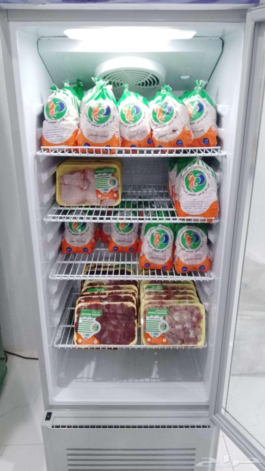 للبيع اكياس دجاج مبرد64525330849282110