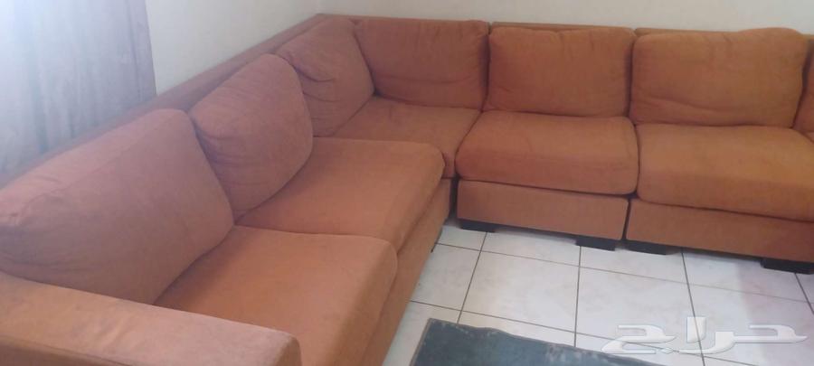 L-shaped Home Centre sofa set with 6-person dining table64520983100290112