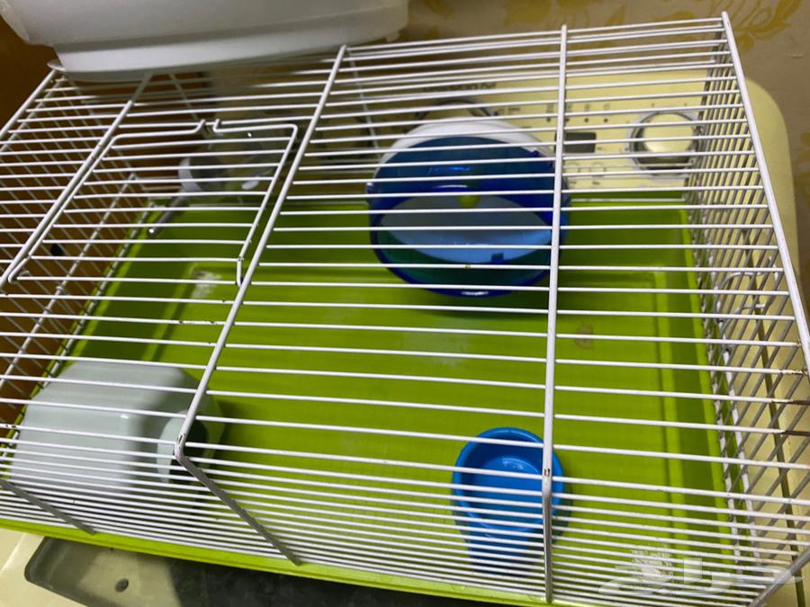 اقفاص طيور وحيوانات64527849126018113