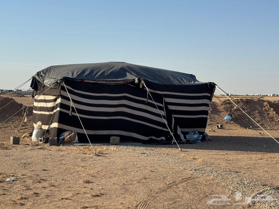 قطبه تفصال للبيع64521667033601110