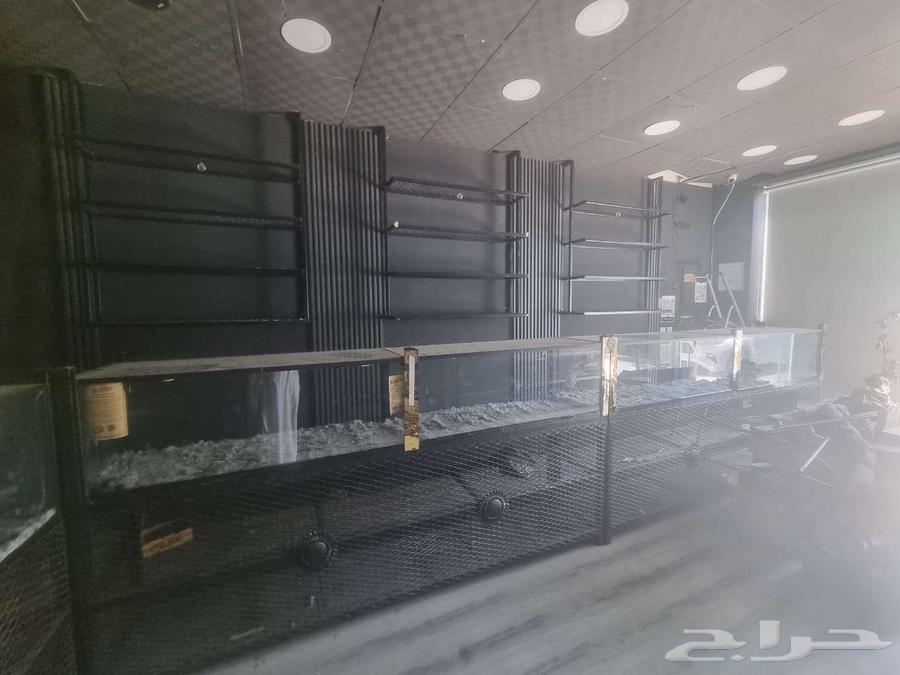 ديكور نضيف للبيع بسبب السفر64530642309250112