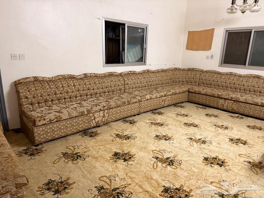 Sofa with brushes64525967558273111