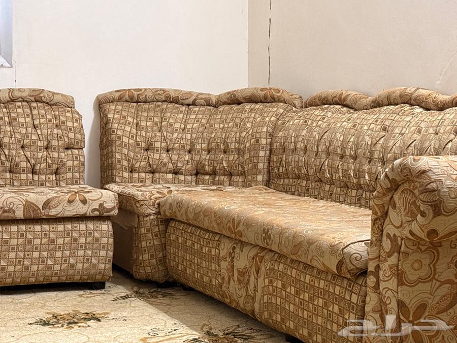 Sofa with brushes64525967558273110