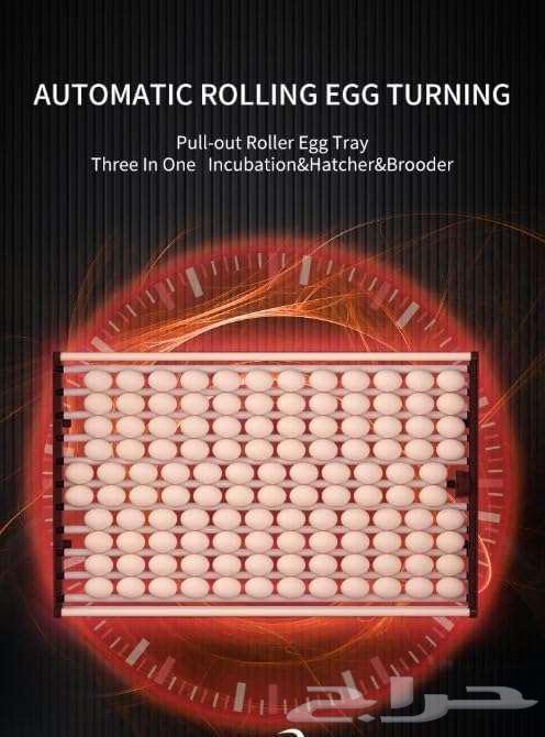 فواق بيض SOFAB للدجاج عالي السعة - فقاسة لـ1000 بيضة64555630687874112