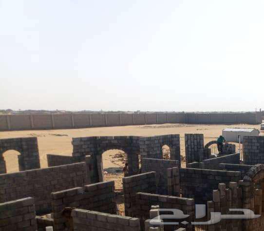 معلم بناء وتكسير وشيل دمار الطايف بناي يماني64431534792578112