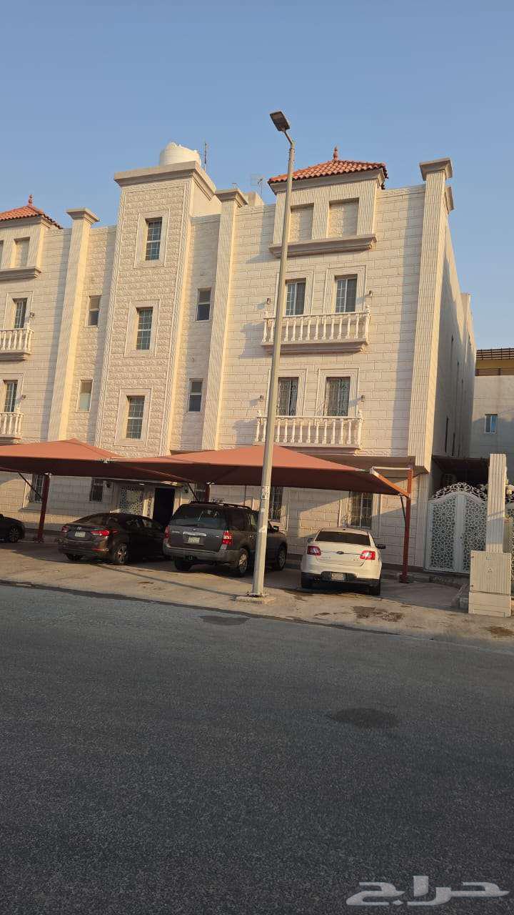 شقه للايجار بحي الشعله64226264268929110