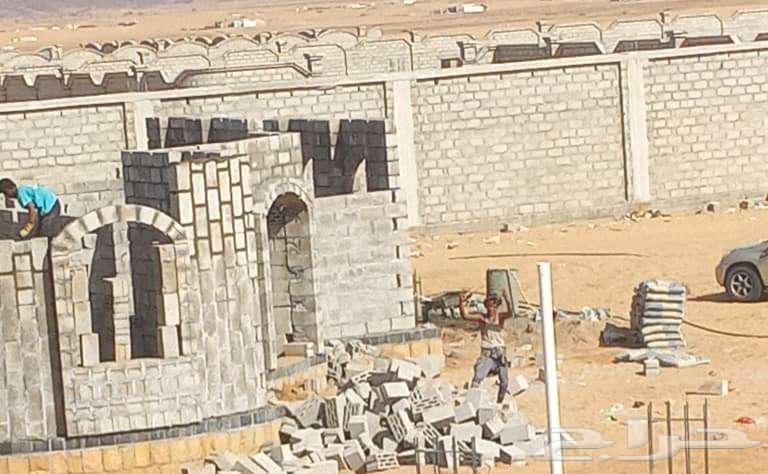 معلم بناء وتكسير وشيل دمار الطايف بناي يماني64431534792578113