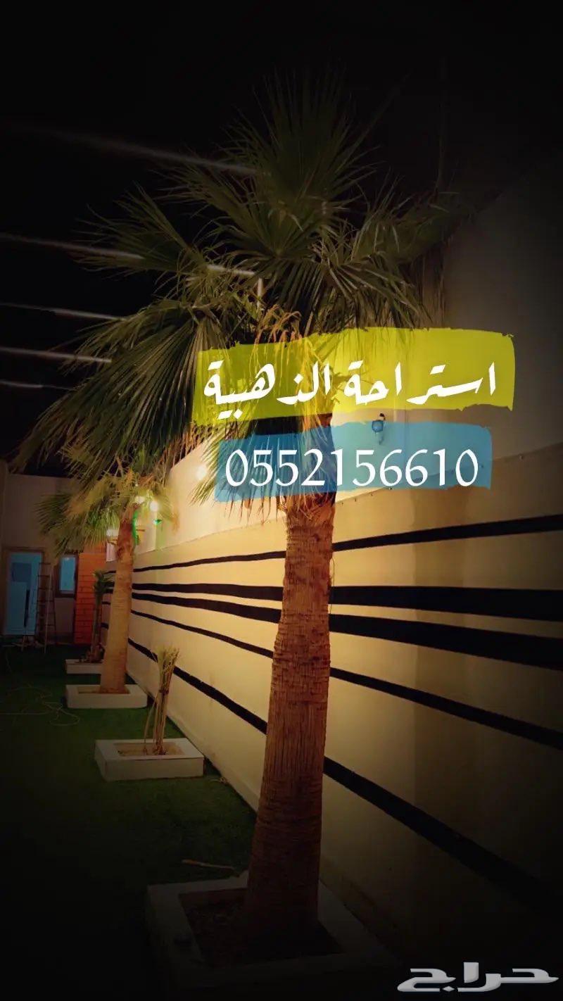 استراحة الذهبية64144469187075111