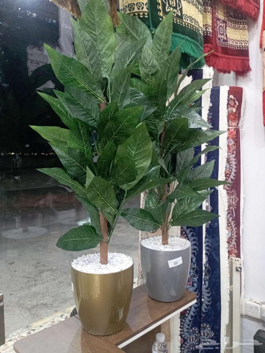 Furniture, home furnishings, and decorative trees at the lowest prices64532621493763114