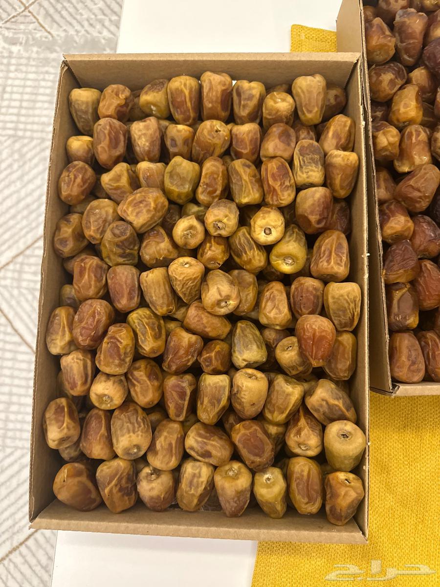 Qassimi dates. Galaxy and Mafatl64529249930370111