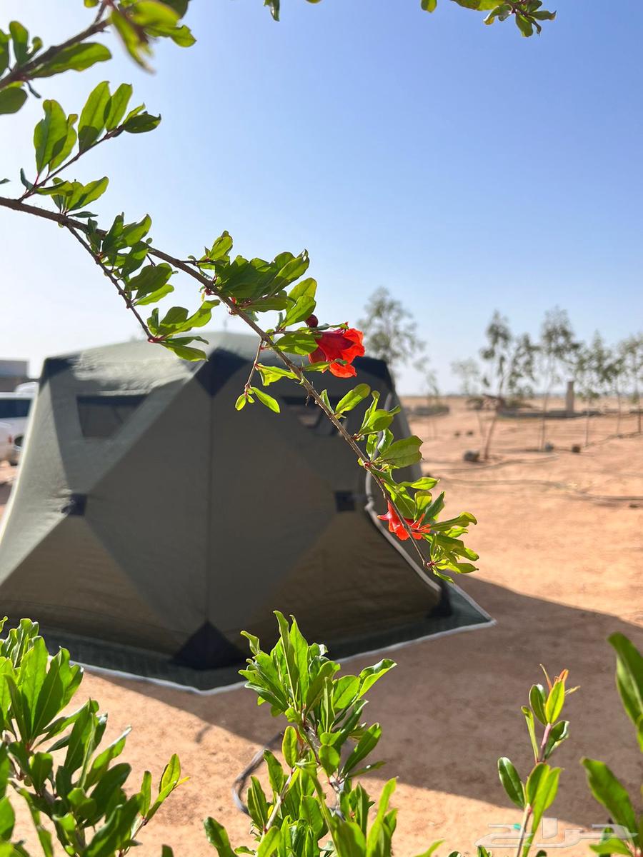 خيمة ديسكفري 3 في 364533986803969110