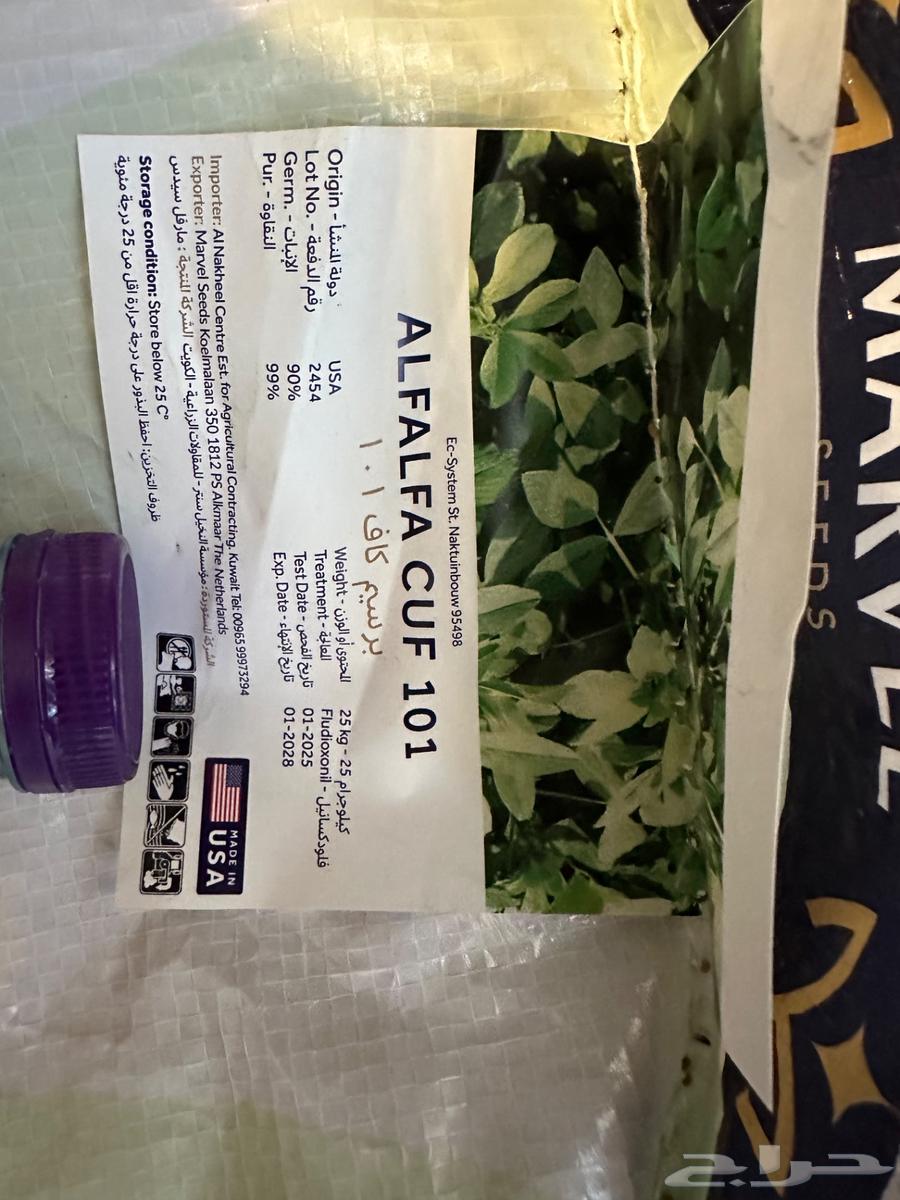 بذور برسيم امريكي كاف CUF 101 بذر جديد ونقي وفاخر64535085965315111