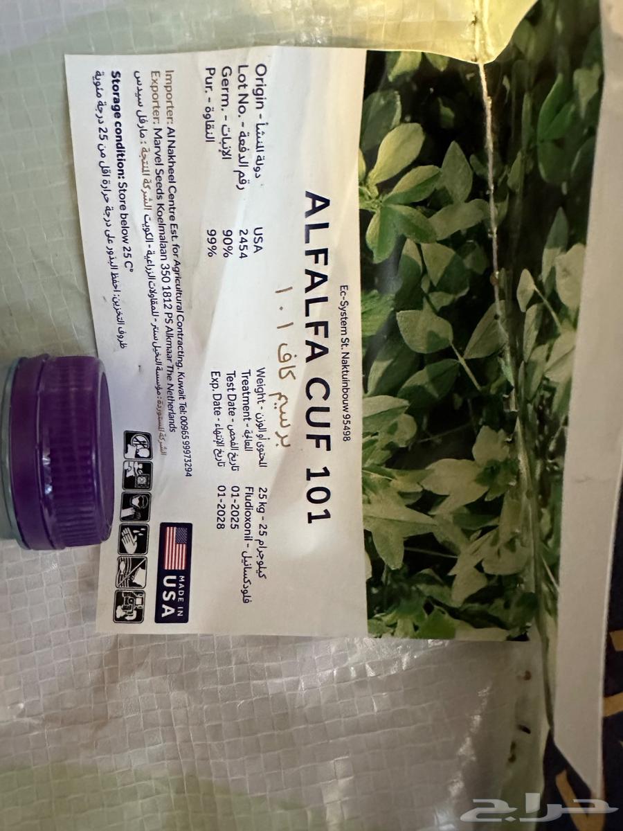 بذور برسيم امريكي كاف CUF 101 بذر جديد ونقي وفاخر64535085965315110