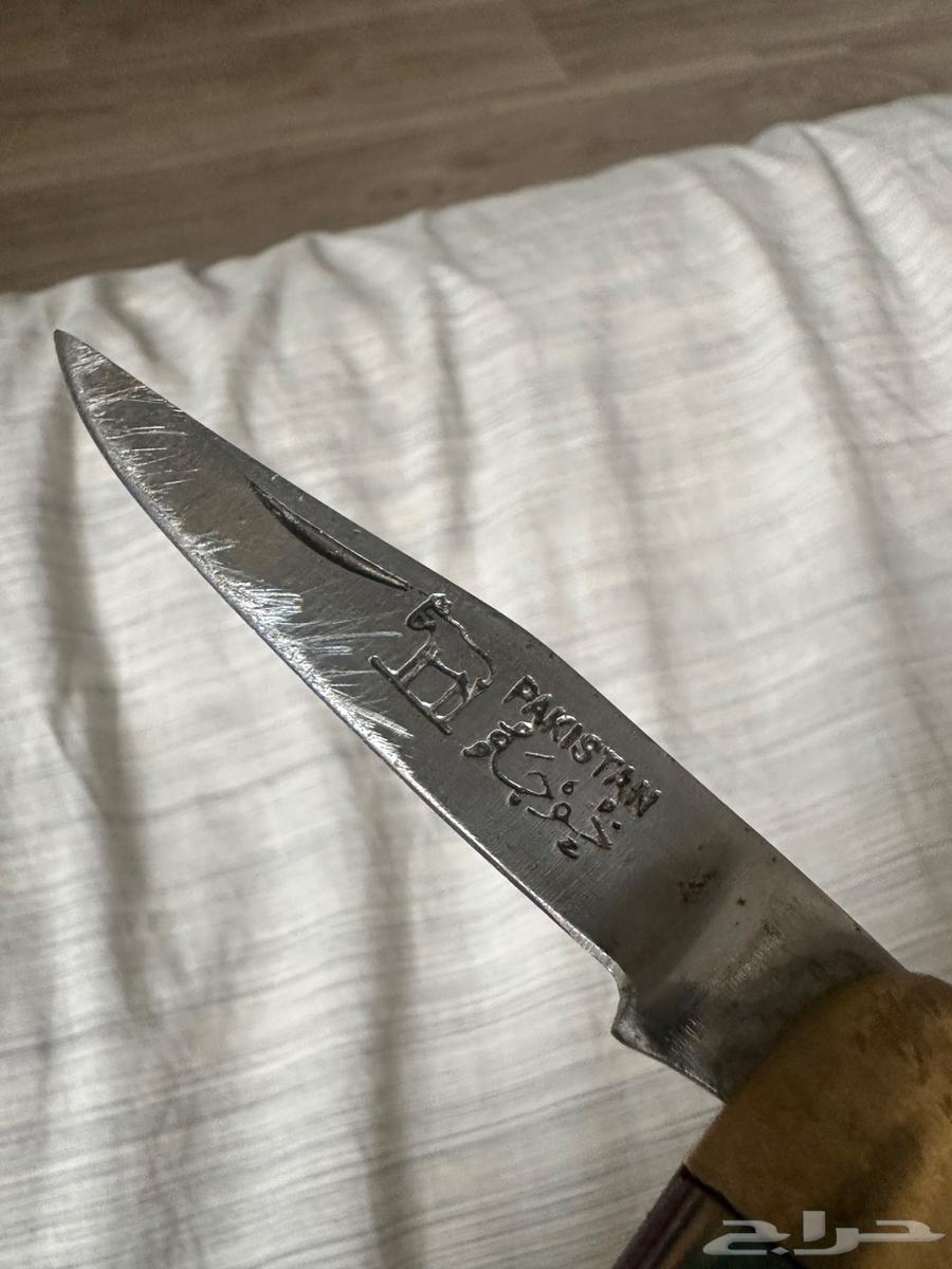 بيع عملات وأشياء قديمة64535242936963112