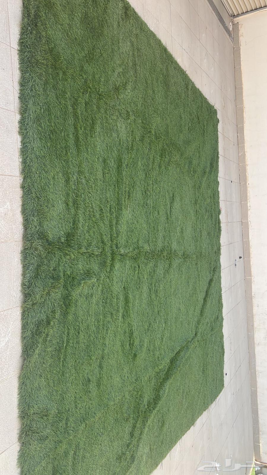 القصيم بريده64531603467009110