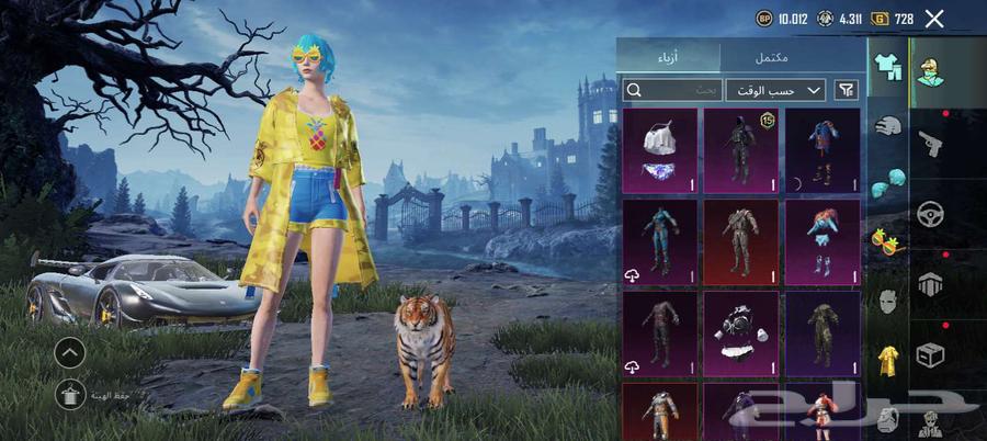 حساب ببجي مميز نوادر بسعر مناسب64529306240001113