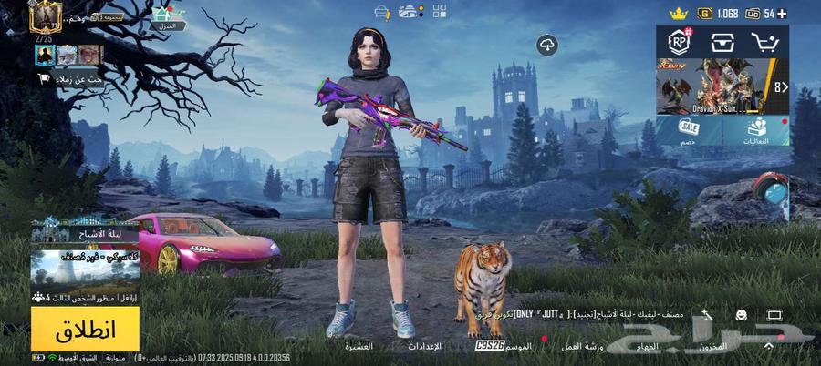 حساب ببجي مميز نوادر بسعر مناسب64529306240001110