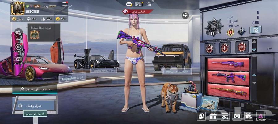 حساب ببجي مميز نوادر بسعر مناسب64529306240001111