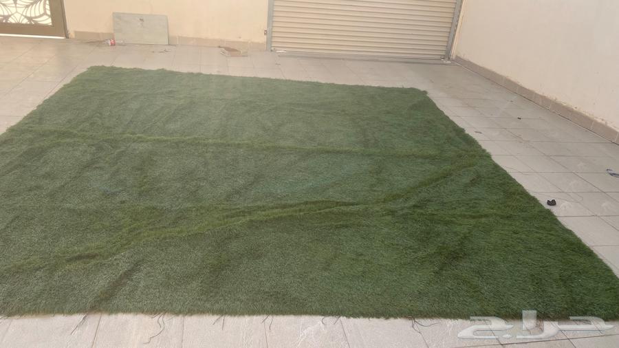 القصيم بريده64531603467009111