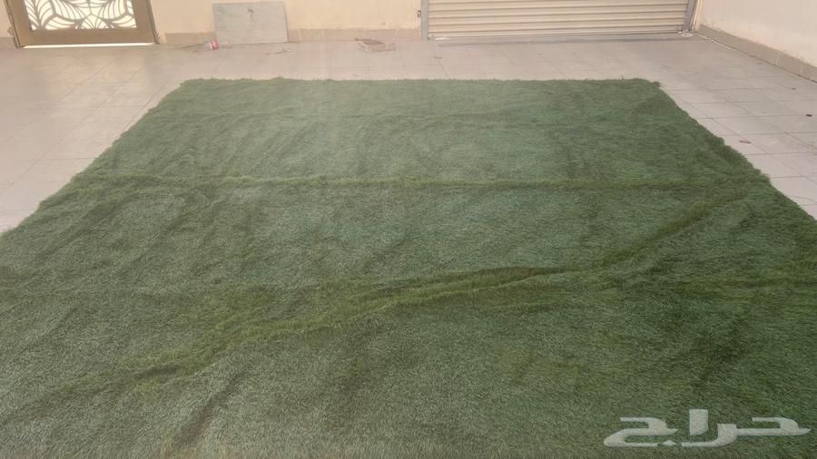 القصيم بريده64531603467009112