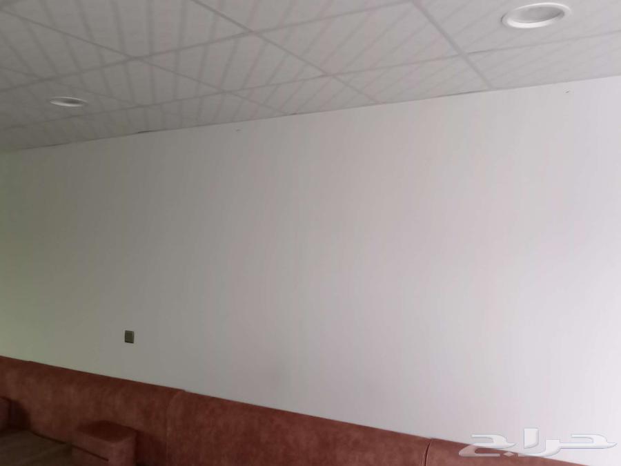 بركس قراميد للبيع64530177351169112