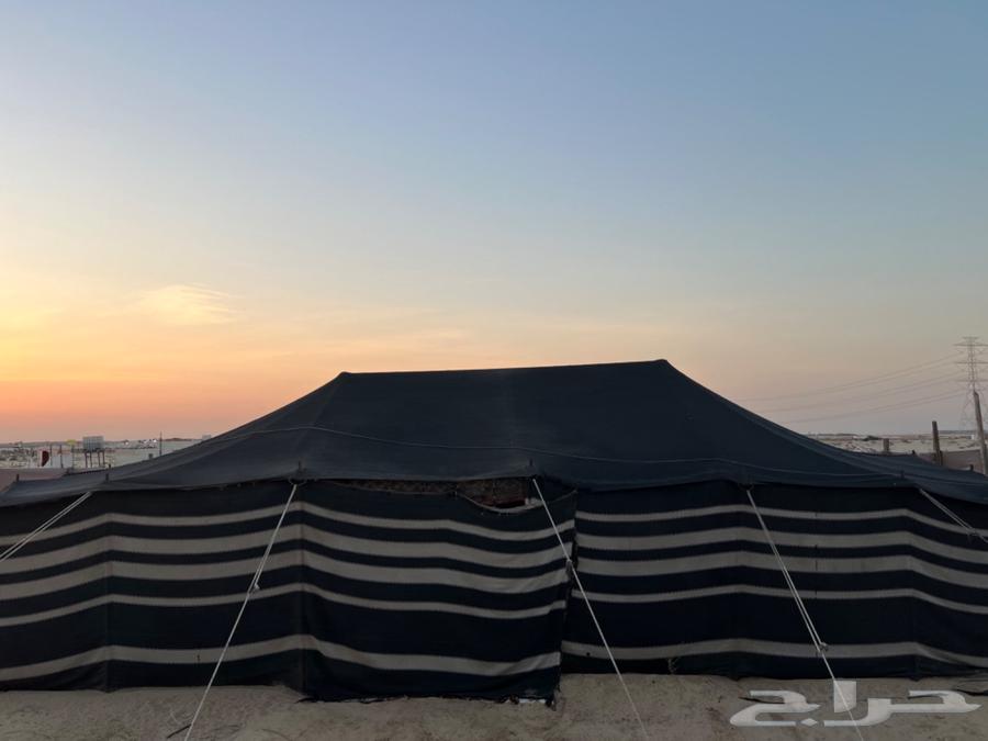 للبيع بيت شعر تركي 11 في 6 مستعمل مع الجلسات64534014889985111