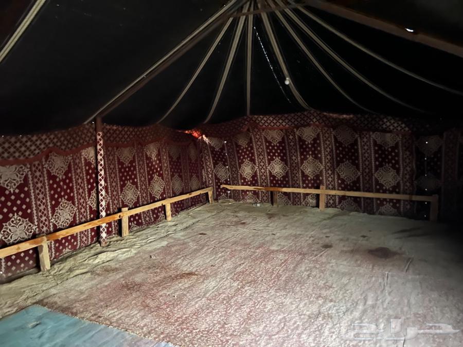 للبيع بيت شعر تركي 11 في 6 مستعمل مع الجلسات64534014889985113