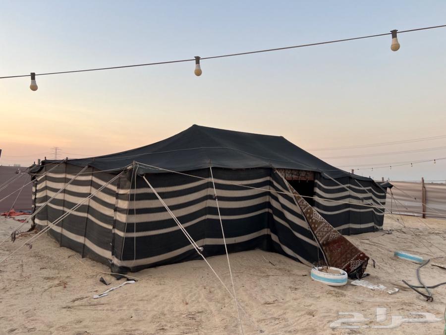 للبيع بيت شعر تركي 11 في 6 مستعمل مع الجلسات64534014889985114