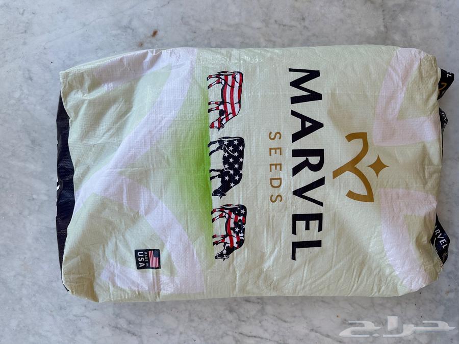 بذور برسيم امريكي كاف CUF 101 بذر جديد ونقي وفاخر64535085965315113