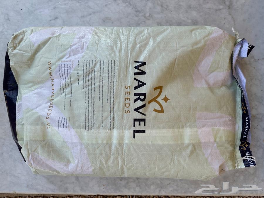 بذور برسيم امريكي كاف CUF 101 بذر جديد ونقي وفاخر64535085965315112