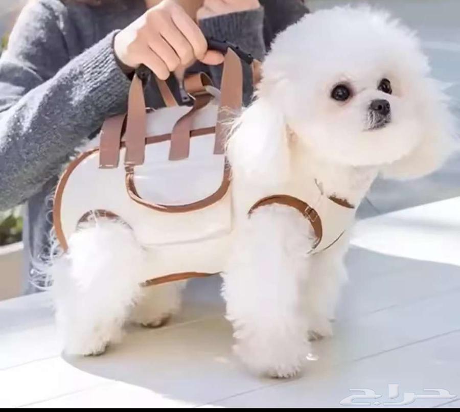 حمالات قطط او كلاب64531096361091110