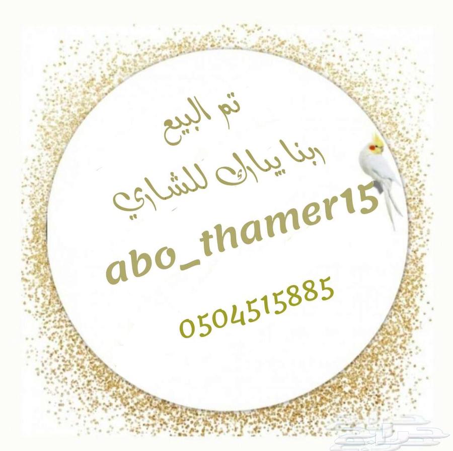 فروخ كنيور أناناس رد فاكتور - فرخ كروان البينو((تم البيع))64500574769923110