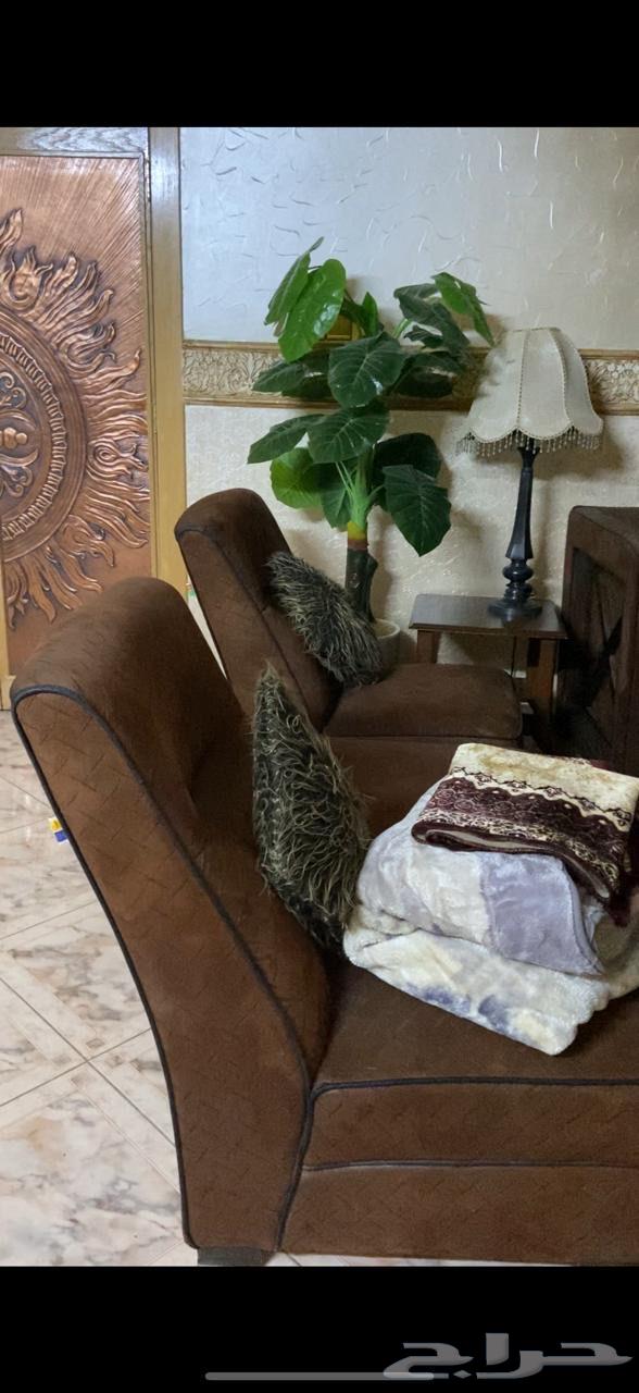 Used Demos Sofa in Good Condition64542373481858111