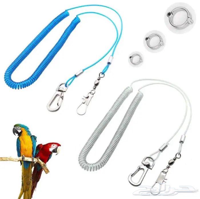 Bird leash for securing birds outside the home64536948085123110