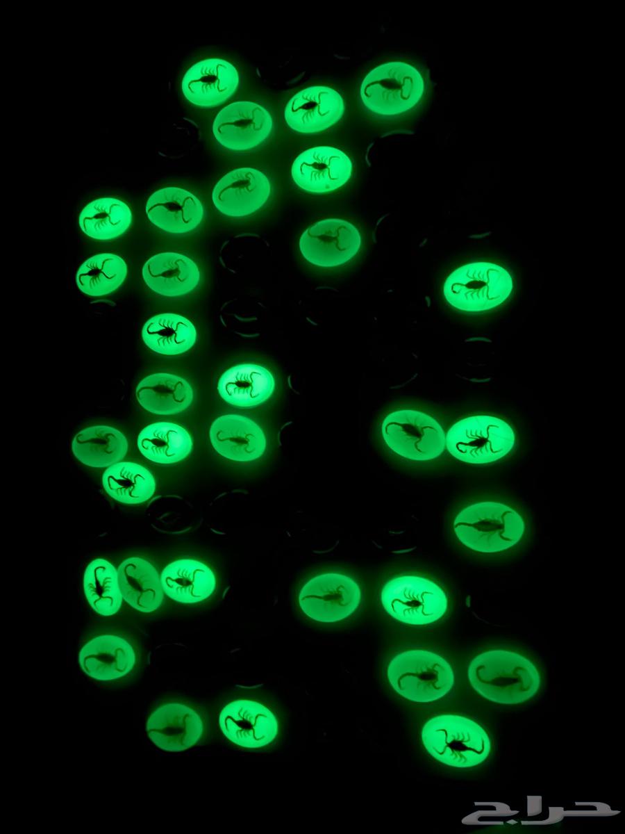 Glow-in-the-dark phosphorescent stones containing preserved natural scorpions64536529637761110