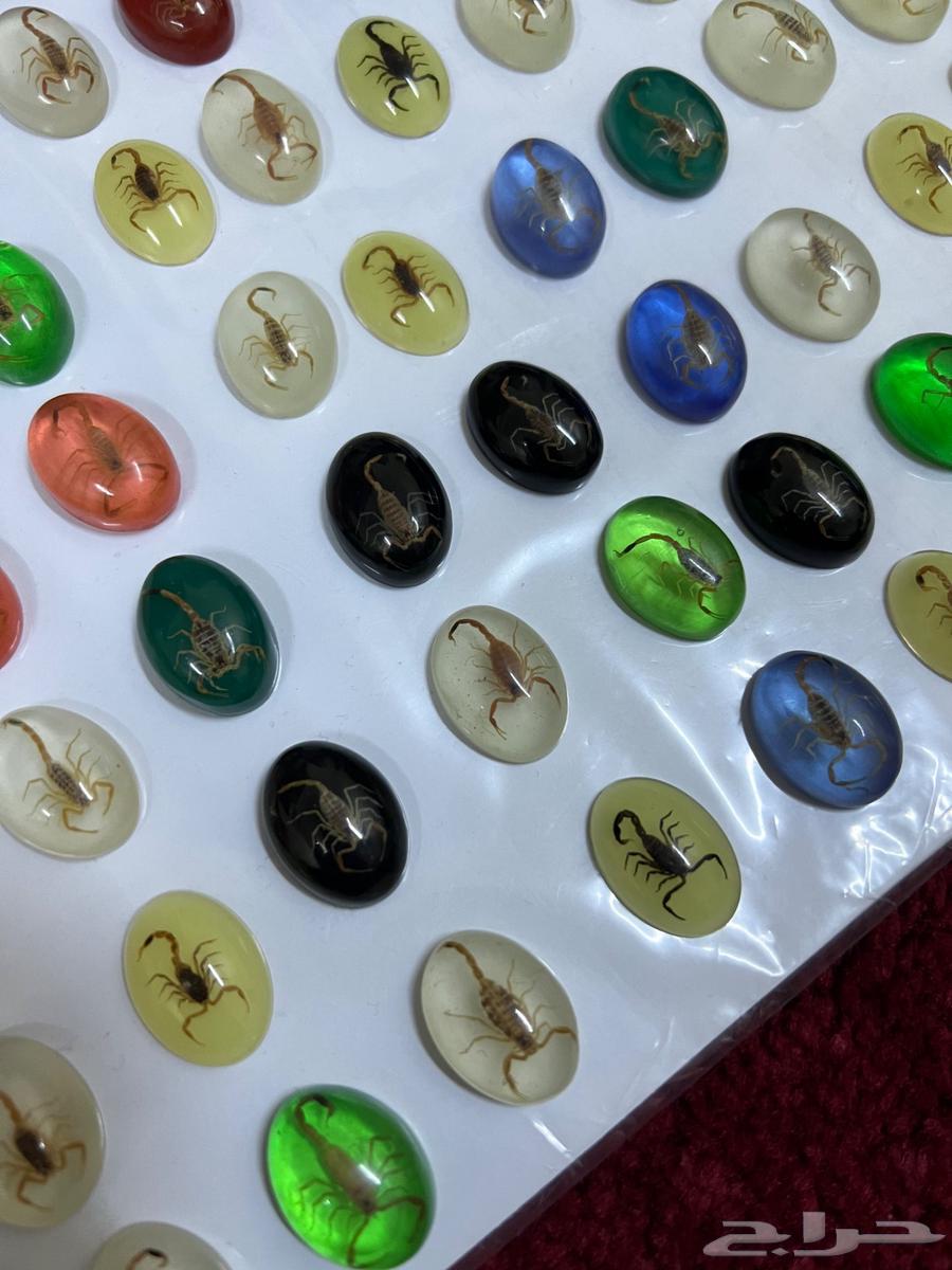 Glow-in-the-dark phosphorescent stones containing preserved natural scorpions64536529637761112